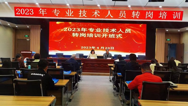 小标题：考研辅导机构的重要性